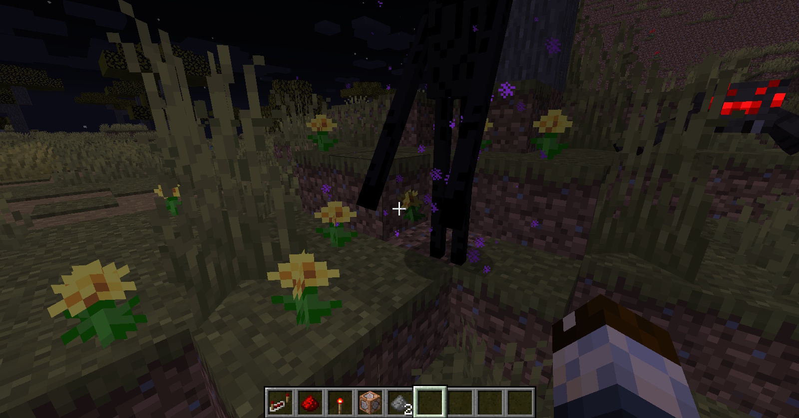 minecraft1.jpg