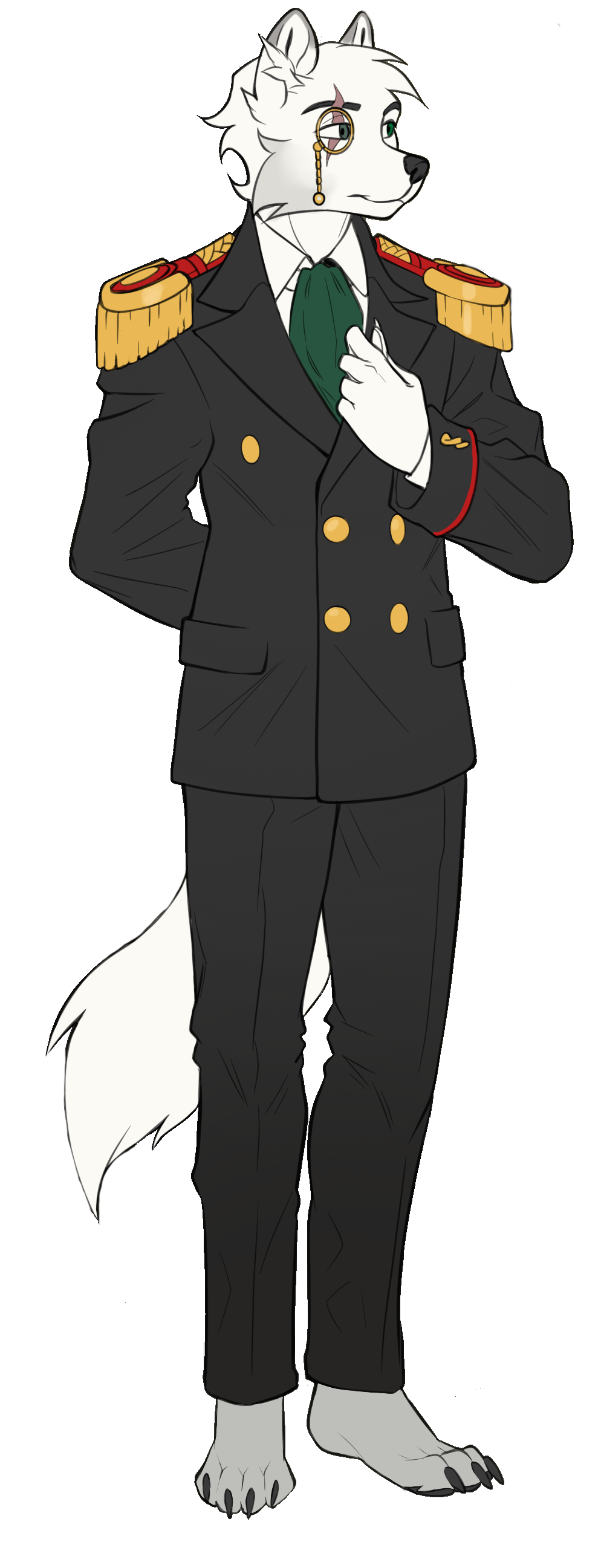 senkaser_color.png
